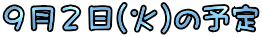 XQ()̗\