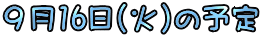 X16()̗\