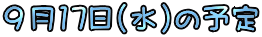 X17()̗\